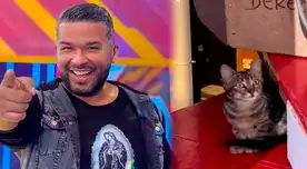 Choca Mandros sale corriendo de 'Estás en todas' al ver a un gato que se adueñó del set