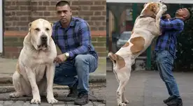 Dueño no puede sacar a pasear a su perro porque lo confunden con un león y hace impensada confesión.