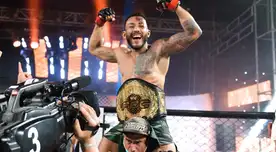 Artes marciales mixtas