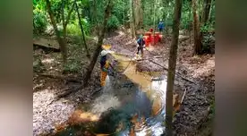 Convocatoria para iniciar remediación ambiental en la Amazonía Peruana Convocatoria para iniciar remediación ambiental en la Amazonía Peruana