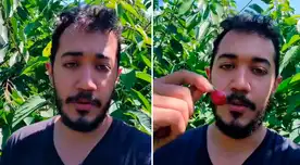 Mexicano afirma que gana mejor en Canadá que trabajando en México. Mexicano afirma que gana mejor en Canadá que trabajando en México.