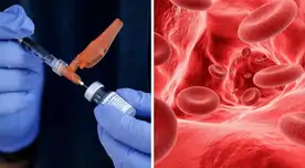 Tener niveles elevados de colesterol puede aumentar el riesgo de acumulación de placas en las arterias, según estudios médicos. Tener niveles elevados de colesterol puede aumentar el riesgo de acumulación de placas en las arterias, según estudios médicos.