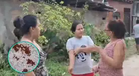 Vecinos de Iquitos denuncian contagio de garrapata entre perros. Vecinos de Iquitos denuncian contagio de garrapata entre perros.