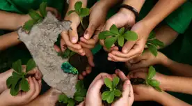 El estudio de Kantar reveló que el tema principal es el calentamiento global. El estudio de Kantar reveló que el tema principal es el calentamiento global.