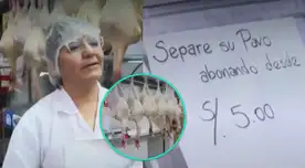 Comerciante avícola lanza oferta para separar pavo navideño en cómodas cuotas. Comerciante avícola lanza oferta para separar pavo navideño en cómodas cuotas.