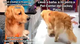 Perro sufre maltrato en veterinaria del Jockey Plaza.
