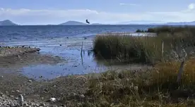 A pesar de las lluvias, las predicciones de Senamhi consideran que no se recuperará totalmente el nivel del Titicaca