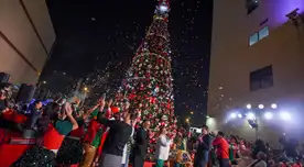 Árbol de Navidad es encendido en el INSN de San Borja.