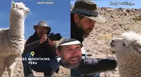 Fotógrafo de Nat Geo fue escupido por alpaca en plena sesión de fotos y es viral en TikTok.