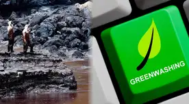 Malas prácticas de publicidad engañosa en lo ambiental. Malas prácticas de publicidad engañosa en lo ambiental.