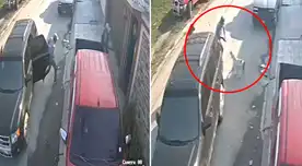 El perro saltó para morder la mano con la que el ladrón manejaba el arma.