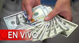 Revisa en cuánto se cotiza el tipo de cambio hoy, miércoles 31 de enero del 2024, en el mercado paralelo y en los principales bancos para la moneda estadounidense