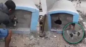 Vecinos encontraron a un perrito vivo en una tumba de Chiclayo