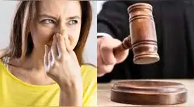 Mujer demanda y le pide el divorcio a su esposo por no bañarse tras contraer matrimonio en Turquía.