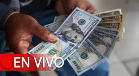 Revisa en cuánto se cotiza el tipo de cambio hoy, domingo 11 de febrero del 2024, en el mercado paralelo y en los principales bancos para la moneda estadounidense.