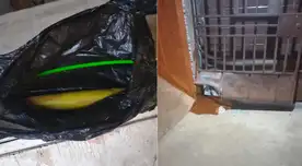 Imágenes del explosivo dejado por extorsionadores y daños en su propiedad.