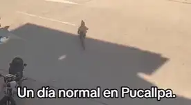 El cocodrilo sembró el terror en las calles de Pucallpa.