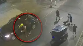 Delincuentes tenían al pitbull como su arma más letal. Delincuentes tenían al pitbull como su arma más letal.