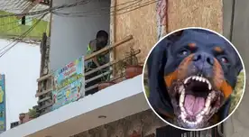 Agentes policiales llegaron hasta este asentamiento humano de San Juan de Lurigancho. Agentes policiales llegaron hasta este asentamiento humano de San Juan de Lurigancho.