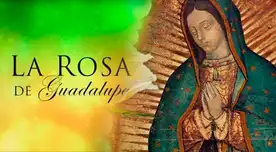 La Rosa de Guadalupe se inspiró un casos reales. La Rosa de Guadalupe se inspiró un casos reales.