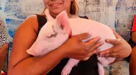 Cerdito fue adoptado como un miembro de la familia.