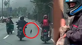 Motociclistas logran salvar a perrito en la Costa Verde. Motociclistas logran salvar a perrito en la Costa Verde.