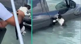 Dubái viene sufriendo lluvias muy fuertes.