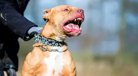 El lamentable hecho ocurrió cuando el pequeño se encontraba en brazos de su tío.
