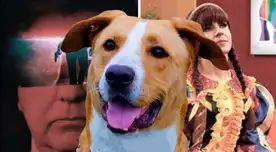 ‘Vaguito’ se corona como la película más vista de ayer y deja atrás a ‘Vivo o muerto’ y ‘Chabuca’ ‘Vaguito’ se corona como la película más vista de ayer y deja atrás a ‘Vivo o muerto’ y ‘Chabuca’