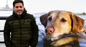 Alex Hidalgo habló sobre la posibilidad del estreno de Vaguito en Netflix.