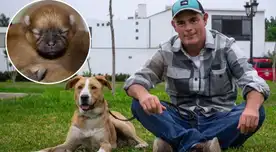 Vaguito 2: Esto dijo Alex Hidalgo sobre la posible historia de la segunda parte del filme peruano. Vaguito 2: Esto dijo Alex Hidalgo sobre la posible historia de la segunda parte del filme peruano.