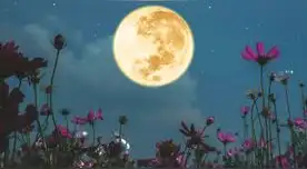 Luna de Flores 2024: conoce todos los detalles para ver la luna llena de mayo.