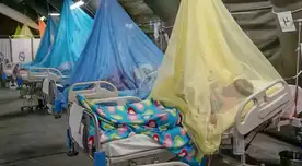 El dengue llegó a Arequipa. Se confirmó el primer caso autóctono de la enfermedad.