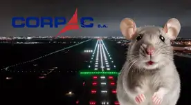 Defensoría del Pueblo señala que fallas en cables de luz del aeropuerto Jorge Chávez serían por presencia de ratones, según Corpac.