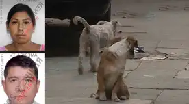 El sujeto fue detenido mientras que al mujer embarazada fue atendida rápidamente. El sujeto fue detenido mientras que al mujer embarazada fue atendida rápidamente.