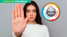 Conoce los detalles del ciclo de la violencia. Conoce los detalles del ciclo de la violencia.