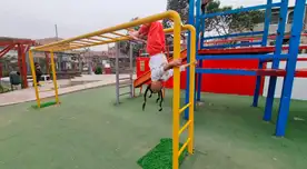 Juegos recreativos beneficiarán a vecinos del Callao.