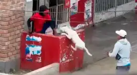 Hombre soltó a su perro pitbull quien mordió al extranjero.