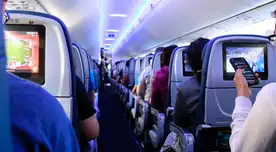 Dinamarca: ratón se coló en un avión y lo obligó a aterrizar