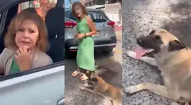Perrito estaba sangrando en sus patas al ser arrastrado salvajemente por la mujer.