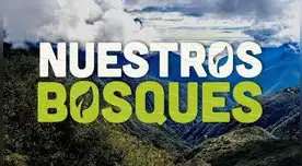 Latina presenta documental “Nuestros bosques” este domingo a las 6:30 p.m. Latina presenta documental “Nuestros bosques” este domingo a las 6:30 p.m.