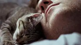 Desvela los secretos de tu felino y fortalece la conexión especial. Desvela los secretos de tu felino y fortalece la conexión especial.