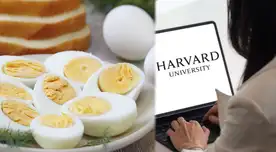 ¿Cuántos huevos puedo comer al día? Harvard aclara la duda sobre si hay posibles riesgos en la salud