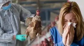 La gripe aviar es un virus que normalmente afecta a las aves, pero ahora a los humanos.