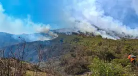 Un incendio forestal se produjo en la zona de Yamango y dejó un adulto mayor fallecido. Un incendio forestal se produjo en la zona de Yamango y dejó un adulto mayor fallecido.