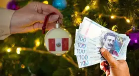 Estos son los bonos que podrán acceder los peruanos en diciembre 2024 con solo tener tu DNI. Estos son los bonos que podrán acceder los peruanos en diciembre 2024 con solo tener tu DNI.