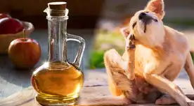El vinagre de manzana es un ingrediente versátil con numerosos beneficios.