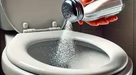 Tirar sal en el inodoro antes de dormir: Beneficios y consejos clave