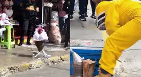 Abejas habrían sido desplazadas de su colmena original. Policías y especialista controlaron la situación. Abejas habrían sido desplazadas de su colmena original. Policías y especialista controlaron la situación.