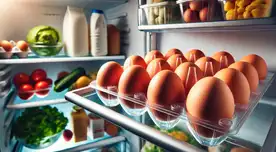 ¿Cuánto tiempo duran realmente los huevos en la heladera? ¿Cuánto tiempo duran realmente los huevos en la heladera?